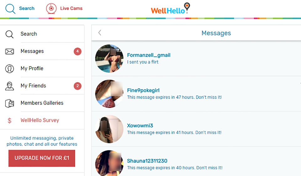 WellHello Review