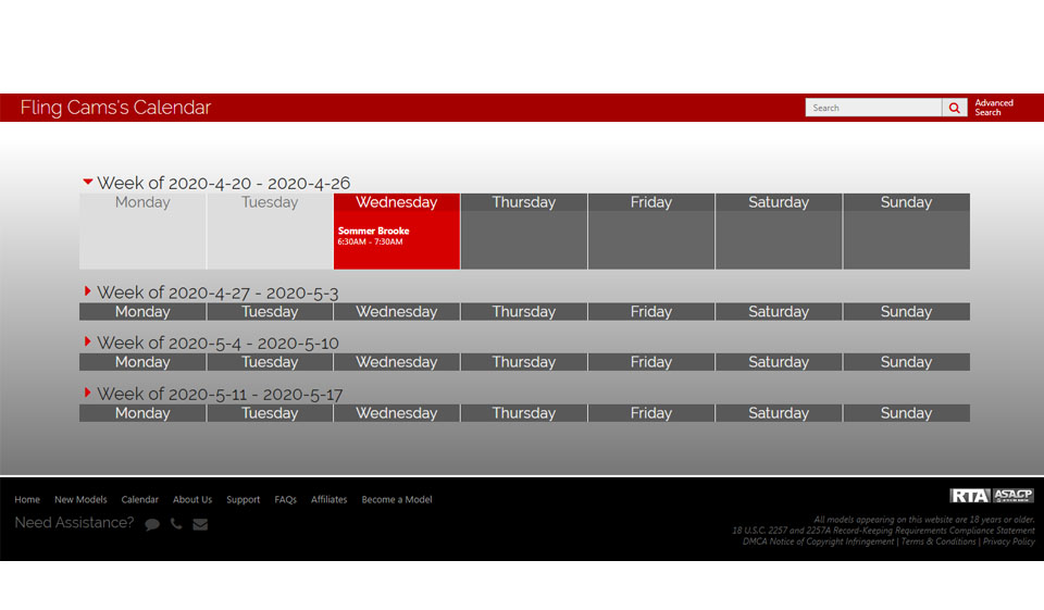 The Fling The Key Advantages And Cons Of The Service
