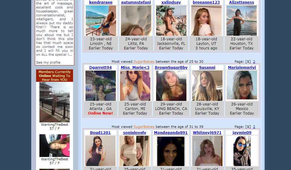 SugarDaddyForMe Descriptive User Profiles