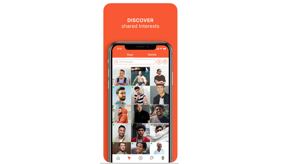 Hornet Positive and Negative Features