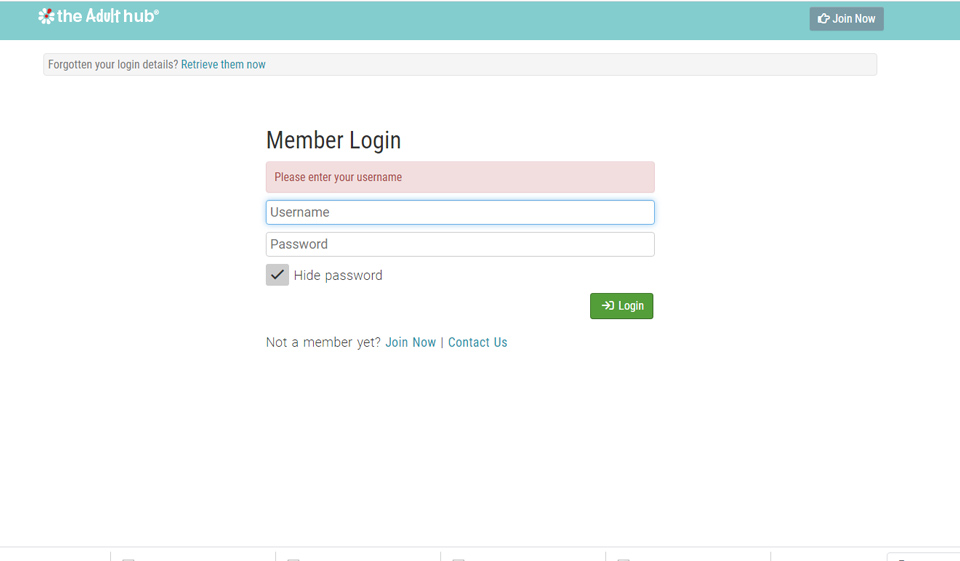 What is The Adult Hub