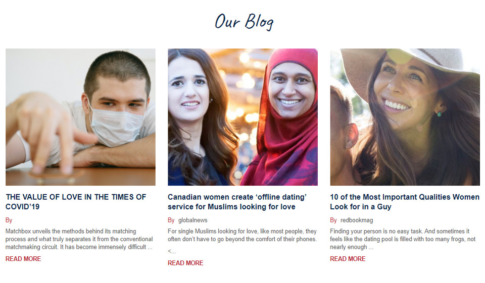 How the Portal Fights With Scammers?