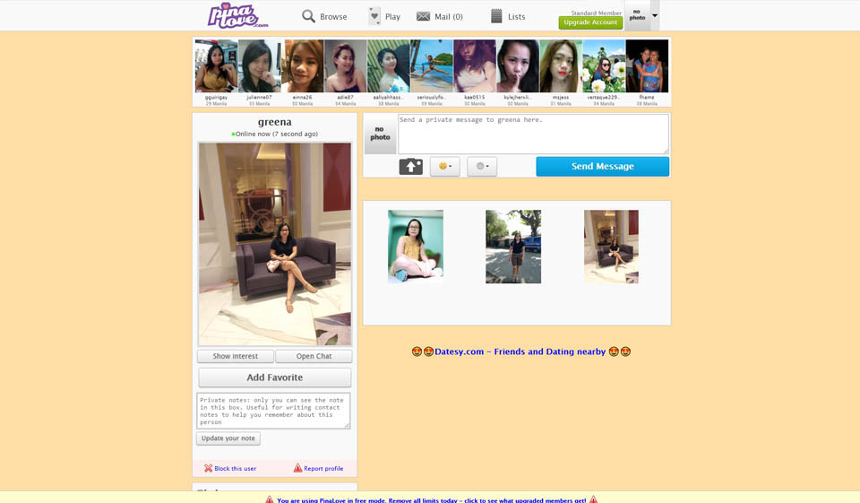 What Is PinaLove Really All About?