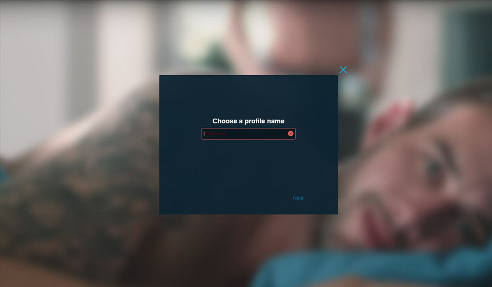 Introducing PlanetRomeo