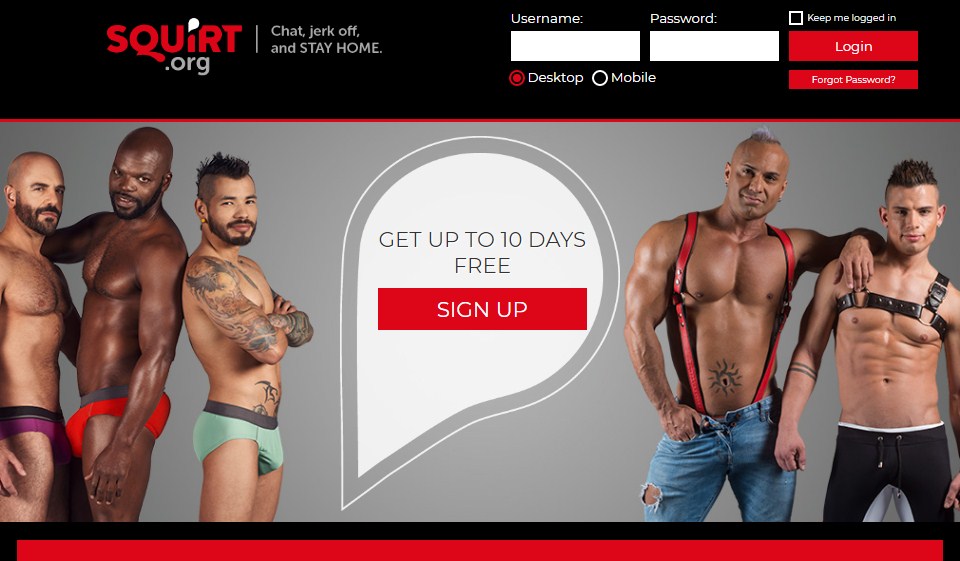 Squirt Review – Why You Should Choose It