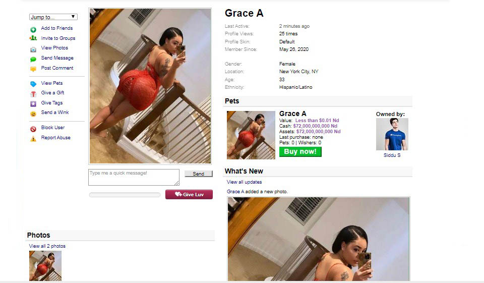 The Age of the Website’s Users