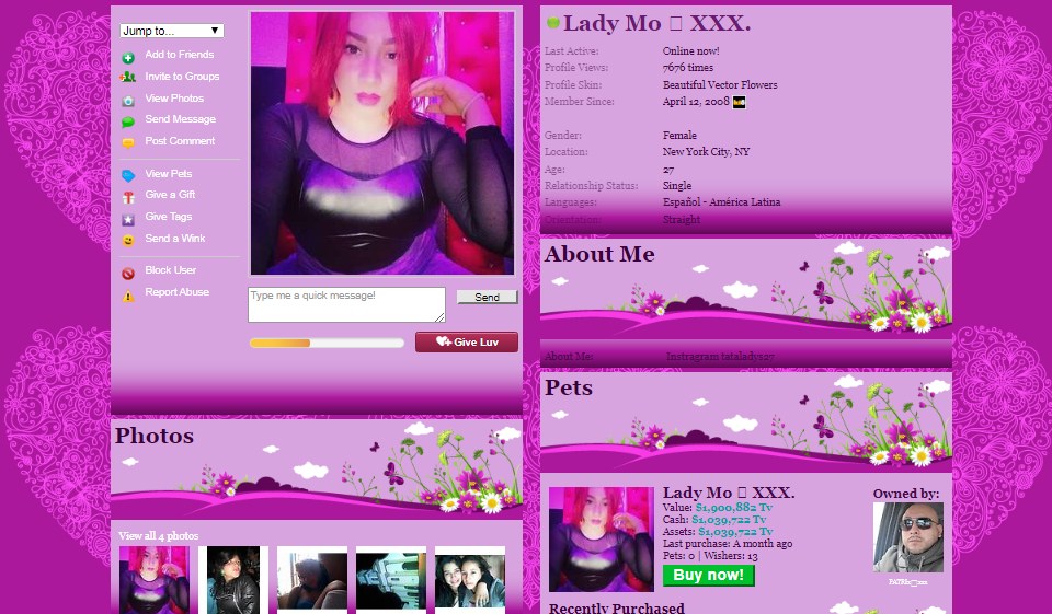 Functionality of Design and Interface