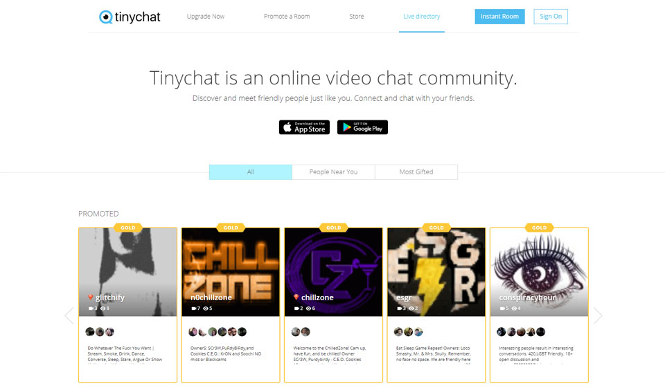 Tinychat Review 2020