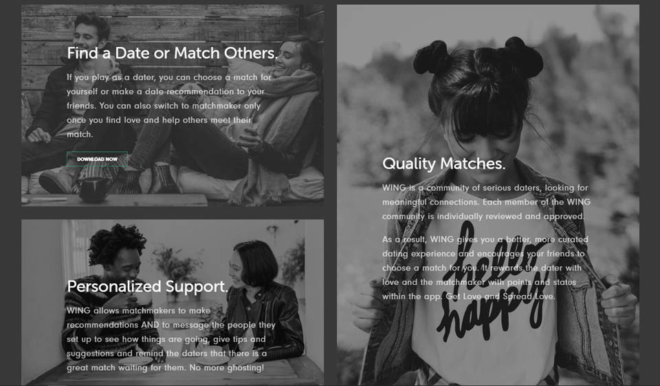 Wing Review — a Dating App for Busy Lovebirds