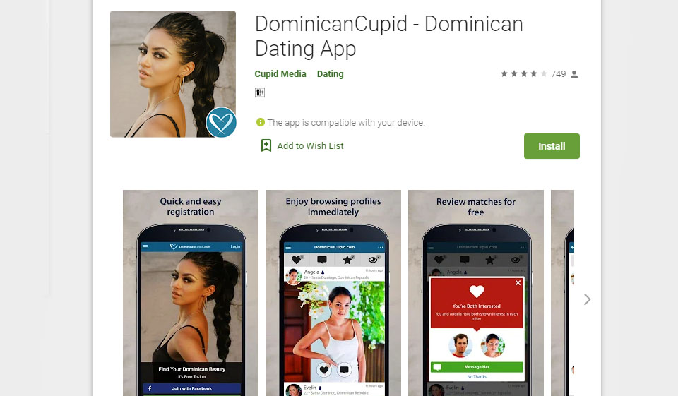 DominicanCupid Design and Usability
