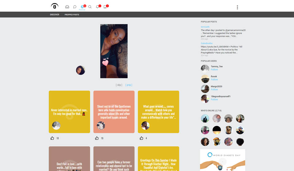 The Main Features of the Design