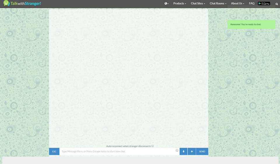 Essential Info About TalkWithStranger