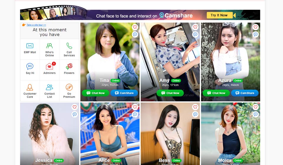 Is the Website User-Friendly?