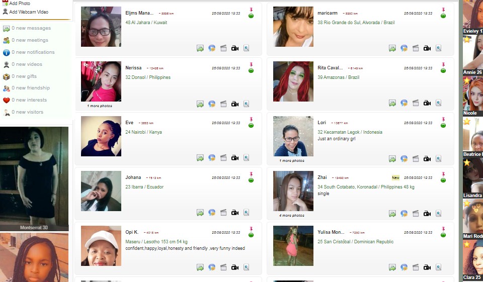 The platform interface overview