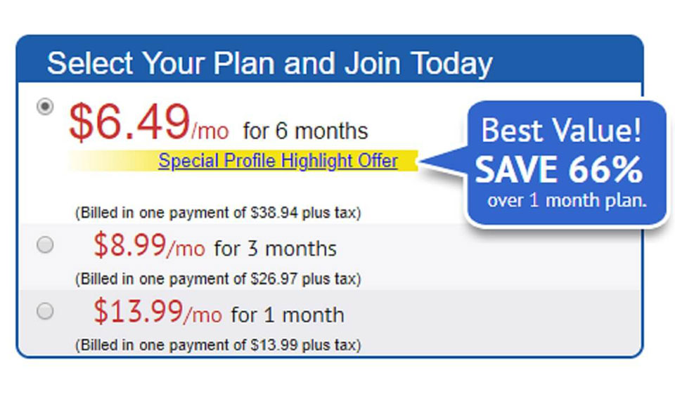 Assessing The Site Usability And Design