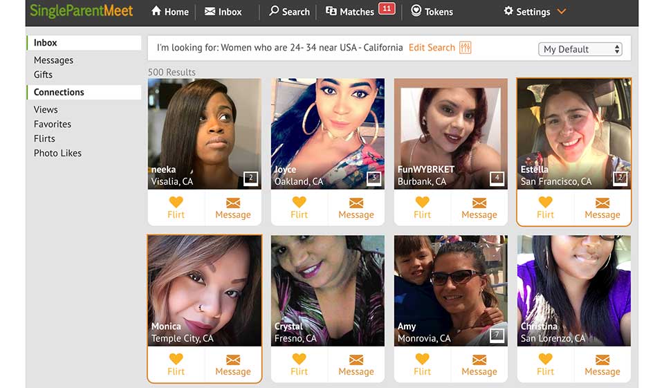 SingleParentMeet Summary